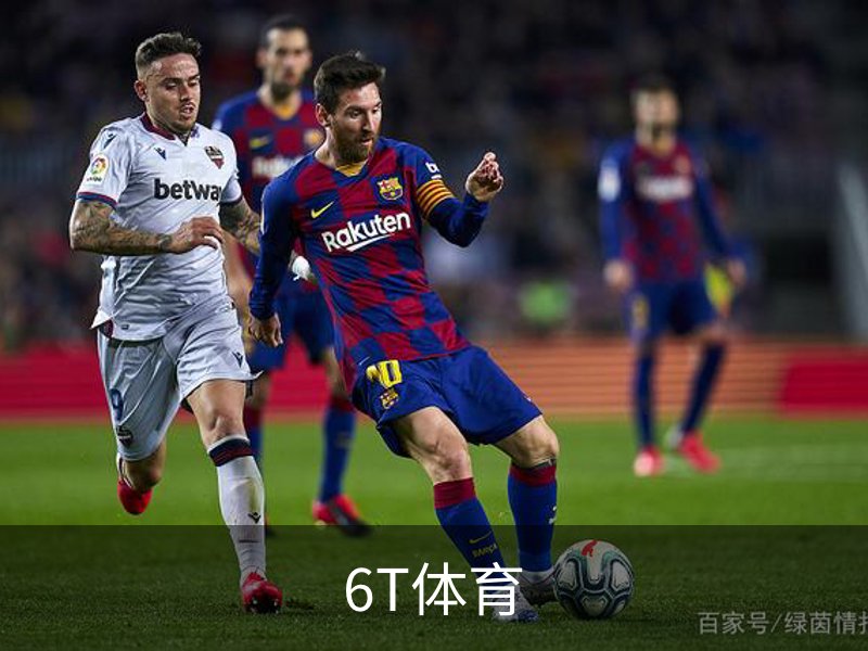 了解6T体育